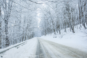 Obraz premium Road in Sabaduri forest with covered snow. Winter time
