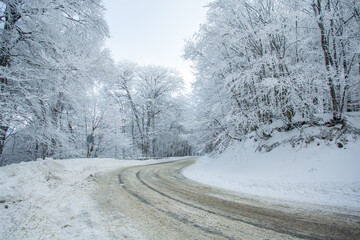 Road in Sabaduri forest with covered snow. Winter time