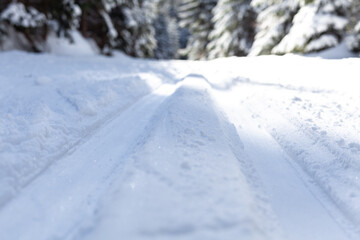 Fototapeta na wymiar cross-country trail in a snowy winter forest