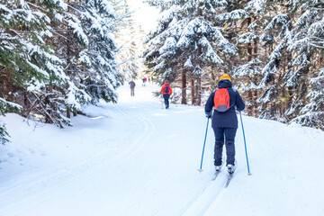 skaters in the trail in the winter snowy forest