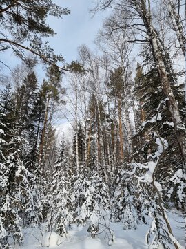 Russia, Ural Mountains, Winter