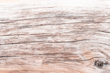 Fototapeta premium Jasne piękne drewniane tło, tekstura białego drzewa, pnia ze słojami. 
