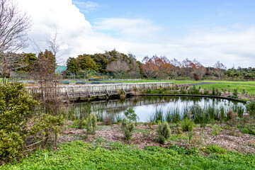 Fototapeta na wymiar Views on a walk around the gardens. Botanical Gardens, Auckland, New Zealand