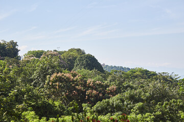 view of the mountains