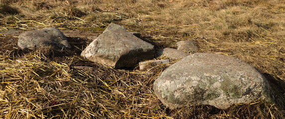 A pile of gray stones against a hay ground. Stockholm, Sweden, Europe.
