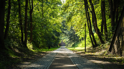 Fototapeta premium Walkway in Gradowa hill, Gdansk, Poland