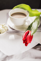 Close-up morning cup of coffee with milk, candy and tulip on the table. Light rays fall on the table