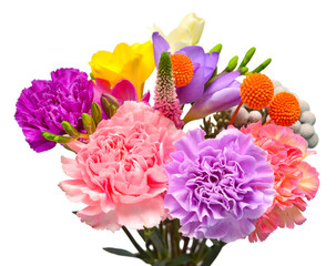 Bouquet flower freesia, carnation, craspedia and veronica isolated on white background