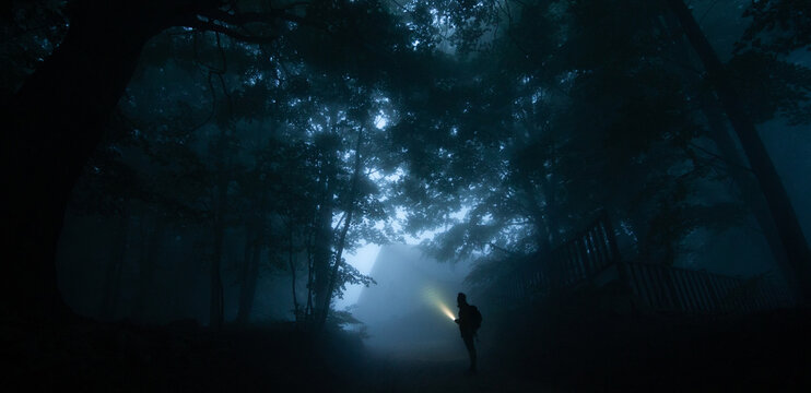 Side view of anonymous male trekker silhouette on pathway illuminating night woods with flashlight