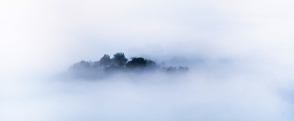 Breathtaking scenery of lush colorful trees growing in forest in mountainous valley against foggy sky in autumn