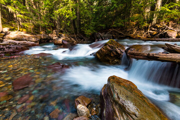 peaceful flow of water in Avalanche Creek passing Avalanche Gorge in Glacier National Park in Montana.