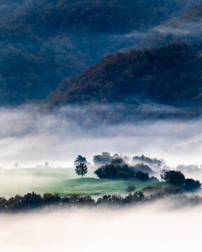 Breathtaking scenery of lush colorful trees growing in forest in mountainous valley against foggy sky in autumn