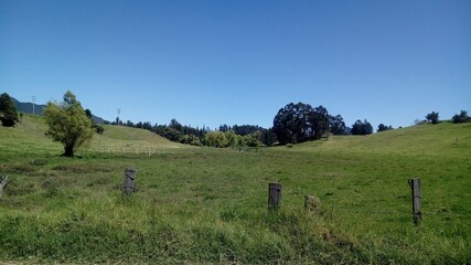 Vista campo