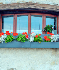 Fototapeta na wymiar Windows with flowers