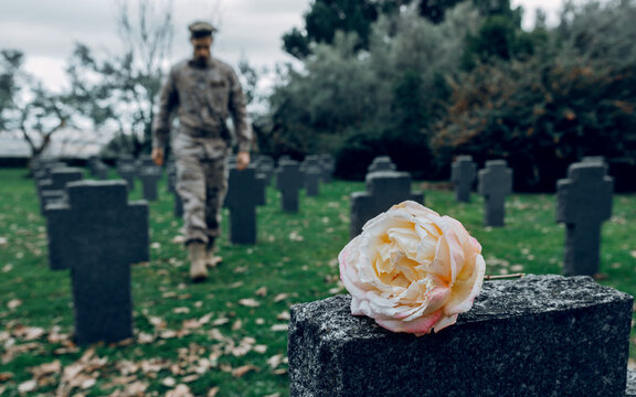 Full body of male fighter honoring memory of hero died during war at grave with flower in cemetery