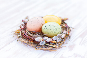 three multi-colored Easter eggs lie in a beautiful nest of blossoming willow branches
