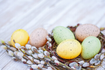 easter eggs and blossoming willow twigs