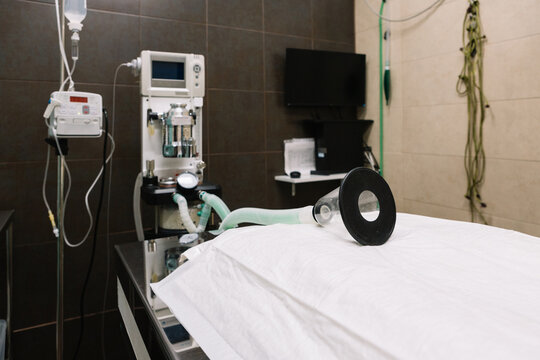 Oxygen and professional equipment placed in operating room of modern veterinary clinic