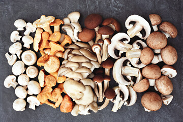 Fresh harvested edible various mushrooms from market: chanterelle, oyster mushroom, white button and brown (cremini) champignon, velvet pioppini
