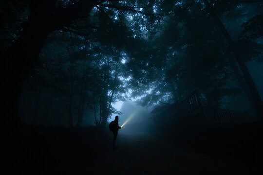 Side view of anonymous male trekker silhouette on pathway illuminating night woods with flashlight