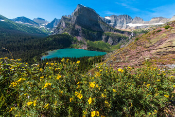 Naklejka na ściany i meble summer wild flowers with turquoise colored Grinnell Lake with Mt.Gould on the background in Glacier National Park in Montana.