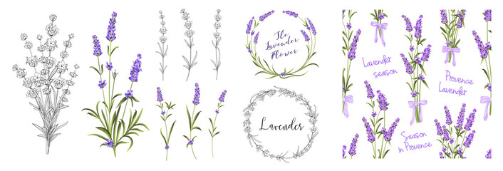 Set of differents lavender elements on white background. - obrazy, fototapety, plakaty