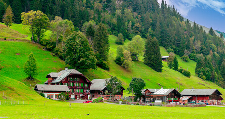 Houses in the meadows