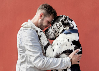 Side view of happy young unshaven male in casual clothes and adorable obedient Harlequin Great Dane dog hugging each other against red background