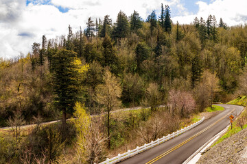 Fototapeta na wymiar Historic Columbia River Highway Hairpin Turn