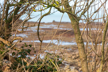 Küste in der Bretagne bei Ebbe