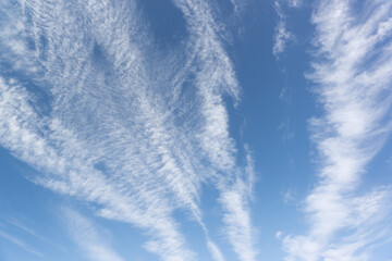 Fototapeta premium Cirrus clouds - separate thin, light clouds with a fibrous and filamentous structure, without shadows, white color