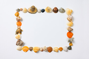 Frame made of seashells on a white sheet. An empty free space in the center.
