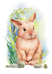Spring cute rabbit on the grass, watercolor postcard, fluffy bunny