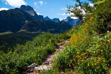 dramatic summer mountain ranges and mountain peaks in the vast Glacier National Park in Montana.