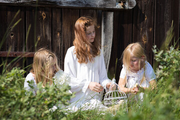 Drei Bauern Mädchen, drei Schwestern, sitzen vom Holzhaus oder vom Holzzaun, sie haben weiße Kleider an. und sie spielen mit den Kücken. Auf dem Gras steht ein weißer Käfig. Es ist sehr sonnig und war