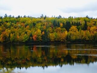 La Tuque region of southern Quebec during the colourful fall season