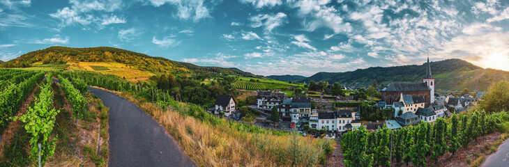 Fototapeta na wymiar Panoramic view of the Moselle vineyards near Bruttig-Fankel, Germany. .Created from several images to create a panorama image.