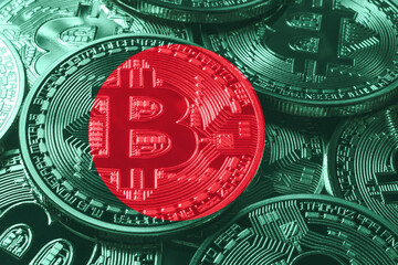 Bangladesh bitcoin flag, national flag cryptocurrency concept
