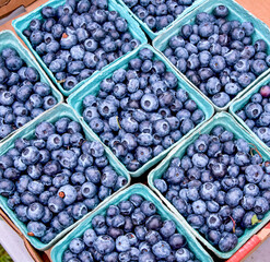  Fresh-picked blueberries in box containers at a local farmers market.  Closeup.
