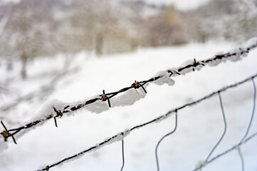 Winter, Stacheldraht