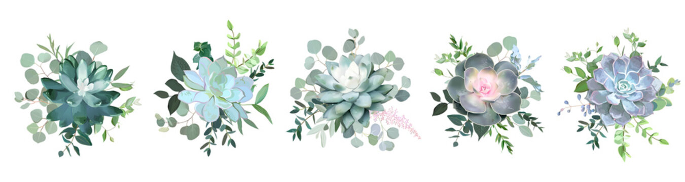 Green colorful succulent bouquets vector design objects