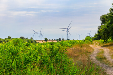 Wind turbines in a field. Renewable energy