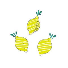 Three bright yellow lemons. One lemon is sliced. Outline drawing. Textures. Vector illustration on white background. For print and web design