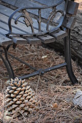 Closeup of bench and pinecone