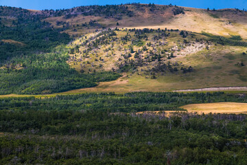Fototapeta na wymiar dramatic summer landscape photo taken in Glacier national Park in Montana.