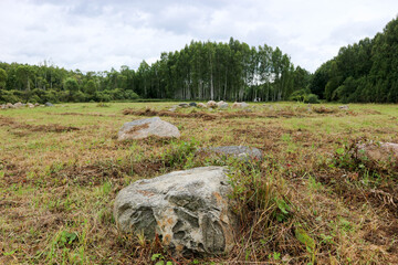 landscape with forest, meadow and large boulders
