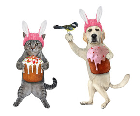A gray cat and a dog labrador in pink easter bunny hats are holding easter cakes. White background....