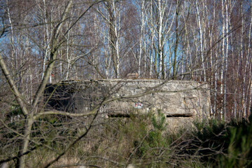 Destroyed World War II bunker landscape in Doeberitzer heide Brandenburg Germany
