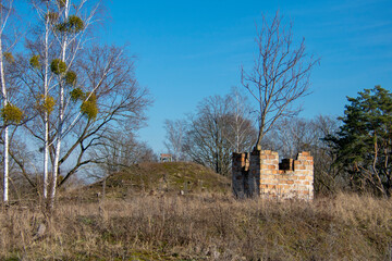 Obraz premium Overgrown World War II remains landscape in Doeberitzer heide Brandenburg Germany