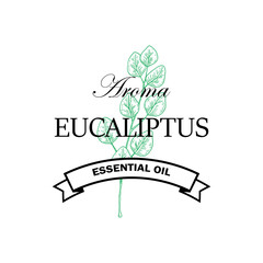 Eucalyptus essential oil logo with hand drawn element isolated on white background. Vector illustration in vintage style